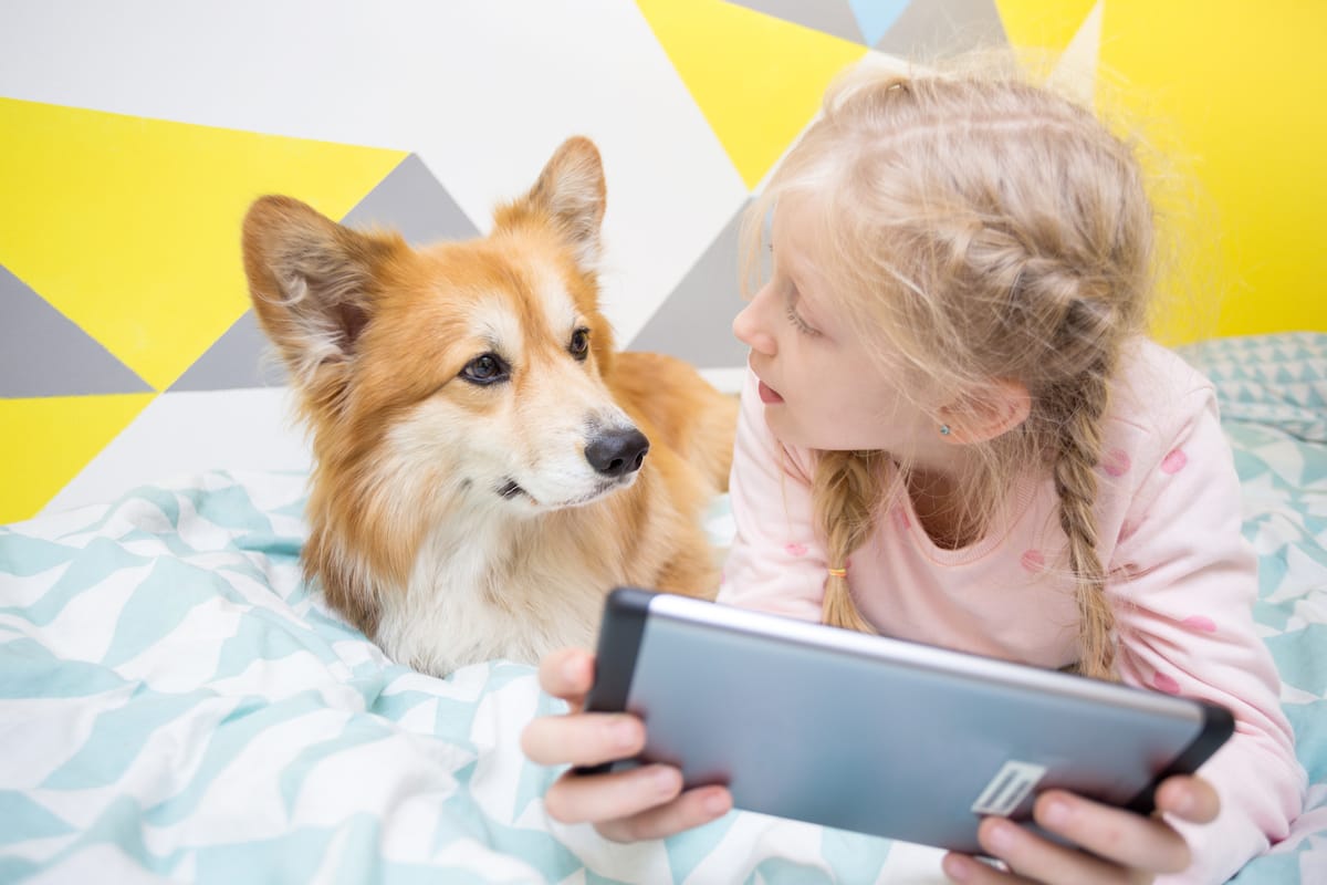 ビジネスチャット 社内sns Wowtalk に犬と会話ができる ワウリンガル 機能を追加 Wowtalk ビジネスチャット 社内snsでコミュニケーション活性化